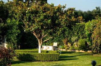 Georgias paradise villa and Garden - Foto 28