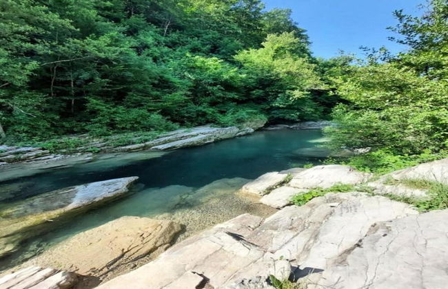 Welcoming Mobile Home in Toscana With Garden - Photo 31