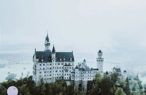 Altkreut Festenhof, Linde und Kastanie, 2 große FeWos für Gruppen bis 19 Personen ruhig und naturnah, 60 Min von München - Foto 36