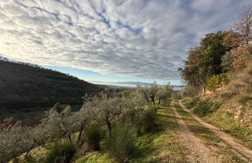 Spello Sant'Onofrio - Foto 34