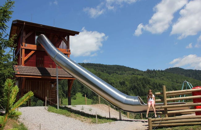 Nice Chalet With Dishwasher, in the High Vosges - Photo 41