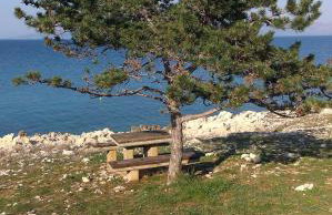 4 Roses Apartment - Photo 47