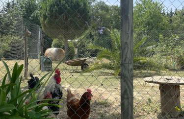 Roulotte en bois Sud France - Foto 21