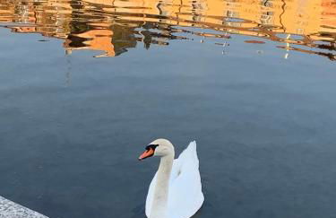 Appartamento con terrazza in zona Navigli - Tortona - Foto 34