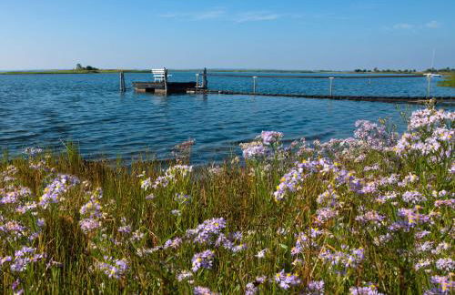 Gollwitzer Park Sturmvogel - Foto 18