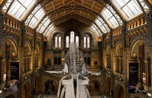 Bright Cosy Urban Apartment near Camden Station - Central London - Foto 48