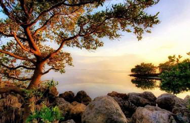 Charming 1923 Cottage at Erehwon Retreat - Foto 28