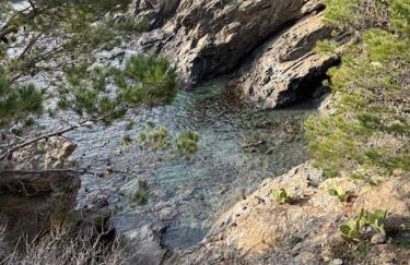 Entre Terre et Mer - Foto 31