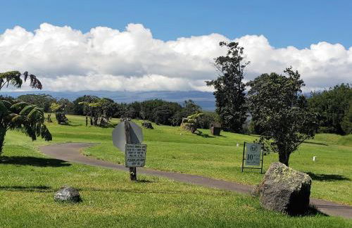 Aloha Ohia Hale 1 Bedroom Home by RedAwning - Foto 44