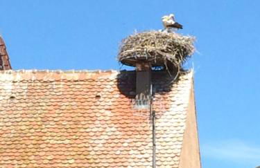 Gîte "Smart'In" - Foto 19