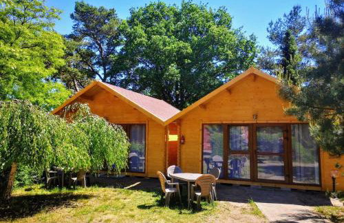 EKO DOMKI w Ośrodku Edukacji Ekologicznej w Krynicy Morskiej-Piaski - Foto 12