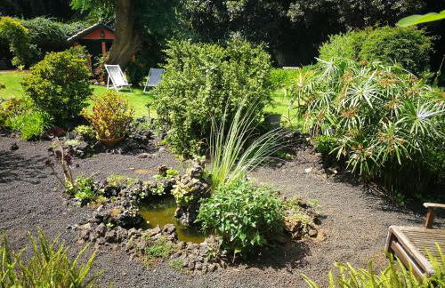 Jardines de Hortensia - Vacation home Tenerife - Foto 42