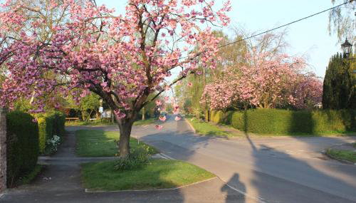 The Old Post Office pretty village 20min from York - Foto 5