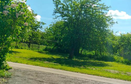 Domek Mordarka - Foto 29