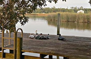 Porpoise Pass - Ground Floor Guest Suite - Photo 57