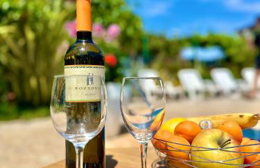 Apartments Dugonjić - Foto 9