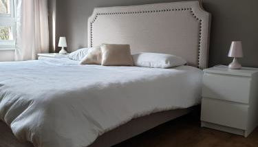 Appartement 115 m2 Garage Tram Lille St Maur - Foto 4