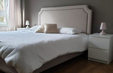 Appartement 115 m2 Garage Tram Lille St Maur - Foto 4