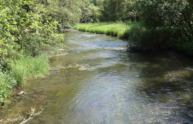 Hillside Cottage Near Winterberg - Foto 40