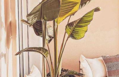 Boho chic Ibiza vibe appartment 4p - Foto 10