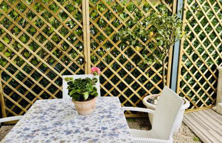 The Dream - Photo 12