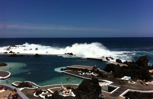 Blooming Botanic Houses - Foto 42