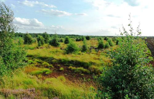 Ferienwohnung Uchte - Photo 48