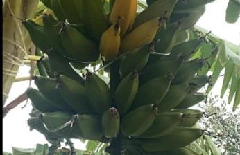 Il Cortiletto - Foto 48