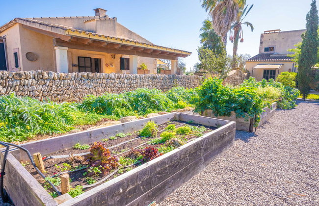 Agroturismo Mondragó (Antic Na Martina) - Photo 14