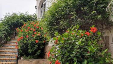 Villa Adriana v rezidencii Toscamar - Foto 4, Garden