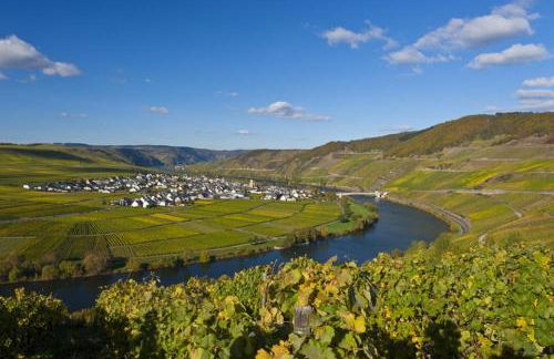 Gästehaus Sophie - Foto 10