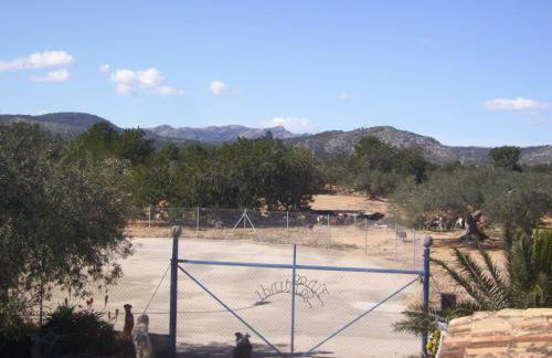 Finca Gamundi - Foto 1