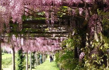 Agriturismo Buonasera - Foto 135