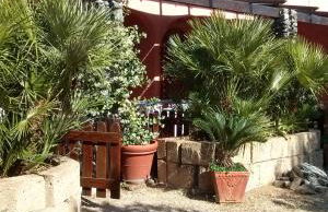 Gavila's Residenza Turistico Alberghiera - Foto 51