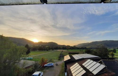 Ferienwohnung Bruetschi Hof - Foto 13