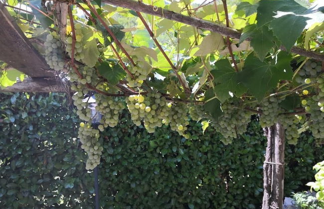 La Mandra - Photo 26