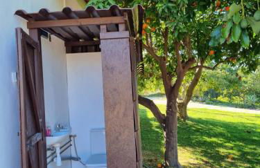 Finca Vista El Montanes - Photo 39