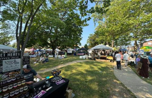 Mayor's Lake and Ski Suite - Foto 65