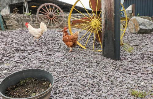 Pant Teg Farm - Foto 38