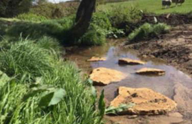 4-Bed Cottage at Famous Tuckers Grave Inn Sleeps 8 - Photo 68