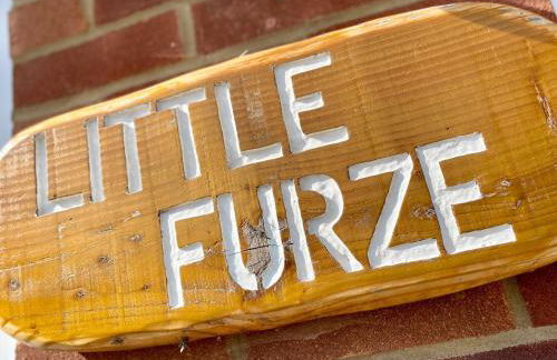 The Little Furze - Foto 29