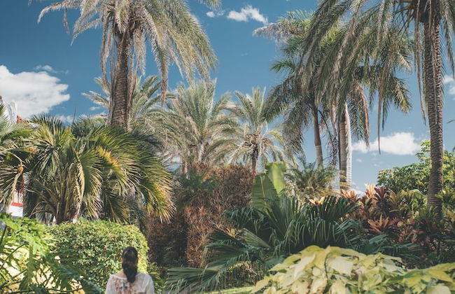 Hacienda San Jorge - Foto 80