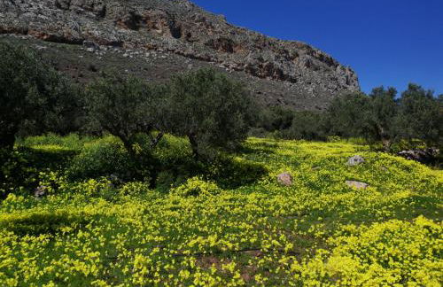 Aspasia's House - Foto 35