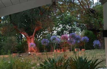 Casa Sant Angelo - Photo 46