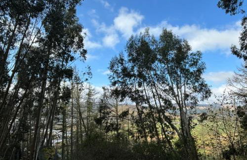 North Lodge Kilmun - Foto 60