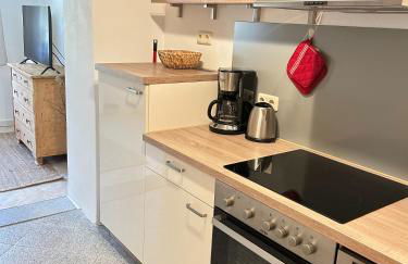 FeWo Ostrau, neues Bad, neue Küche, zentral, Sandstein-Ferien, Terrasse - Foto 19