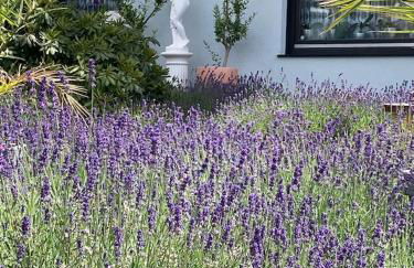 Ferienhaus mit Sauna, Wintergarten und Terrasse im schönen Hochtaunus - Foto 41