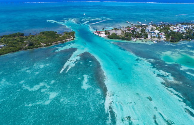 The Lily Pad II - Foto 10