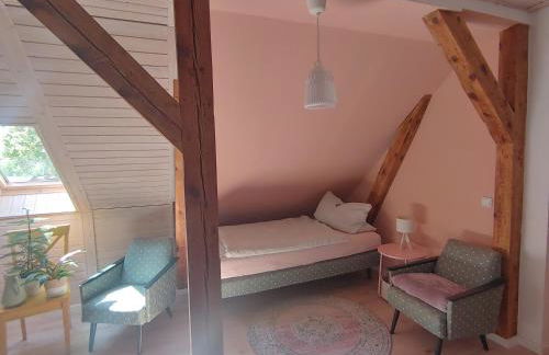 FeWo Ellerholz am Müritz Nationalpark - Foto 14