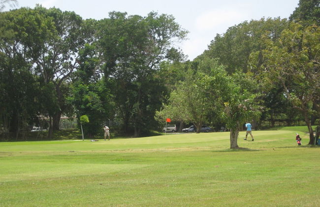 Plum Tree Club - Foto 15